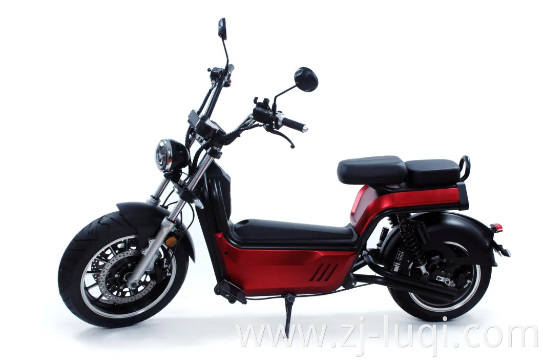 Wholesale in Stock Big Power Capacity Large Load Fashionable Luqi Electric Scooters with 2 Man